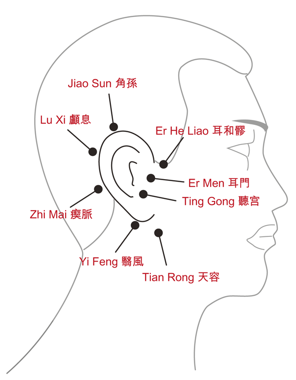 The Ear Acupuncture Points